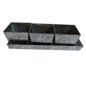 Galvanized Tray With 3 Square Flower Pots